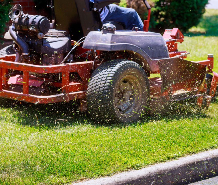 Lawn Maintenance